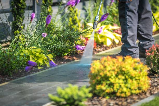 Best Fence Cleaning and Maintenance in Stevens Point, WI